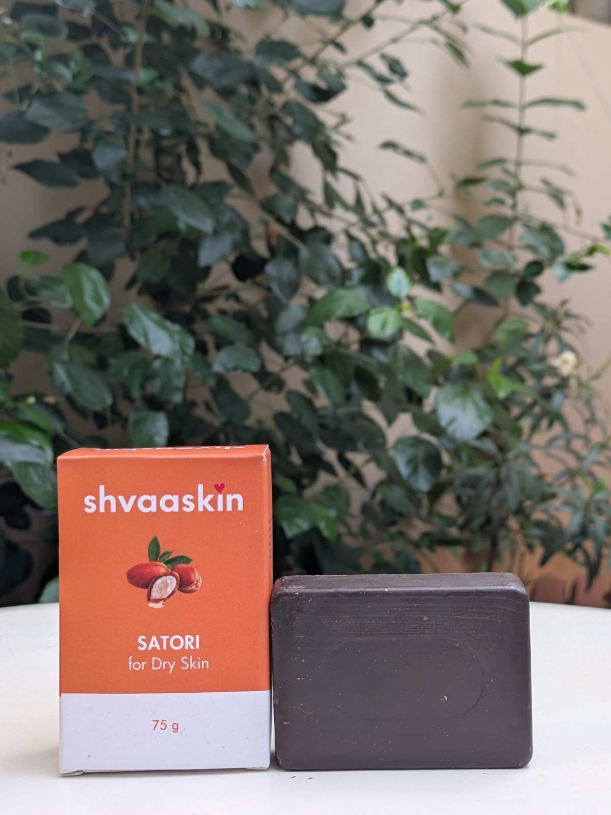 Shvaaskin Satori soap bar and packaging on a surface with a plant in the background
